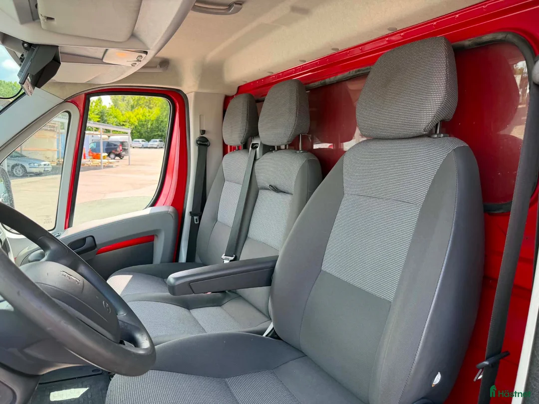 Hästlastbilar  fordon & transport till salu: Peugeot Hästlastbil med stuteri-inredning!  - Annons 14