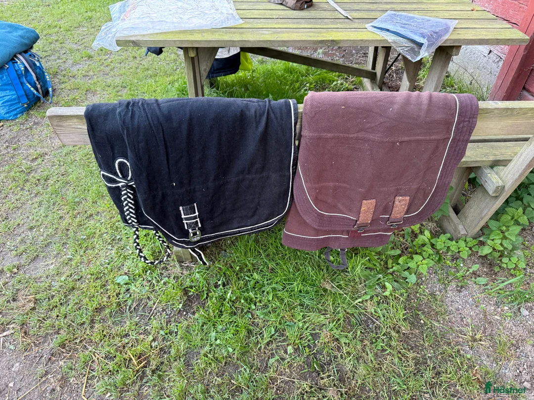 Täcken hästutrustning till salu: 155, 165 - Annons 1