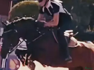 hästar Fantastiskt fin tävlingshäst lättriden med scop - Annons 6