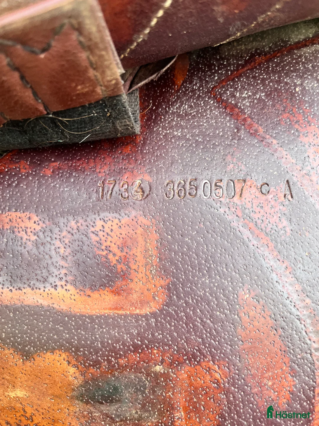 Sadlar hästutrustning till salu: Prestige versialles  - Annons 6