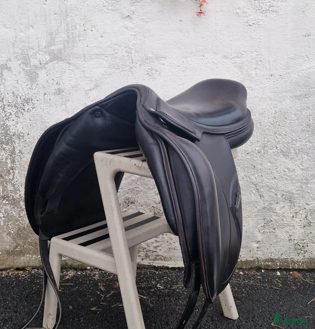 Sadlar hästutrustning till salu: Amerigo DJ Pinerolo - Annons 4