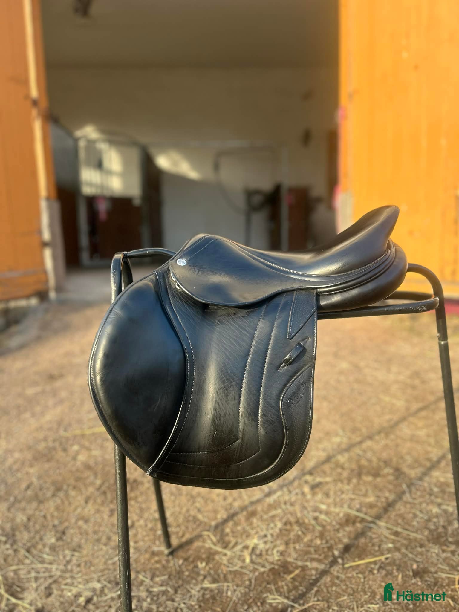 Sadlar hästutrustning CWD Hoppsadel - Annons 4
