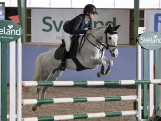 hästar 9 årigt sto vinster och placeringar upp till LA! - Annons 1