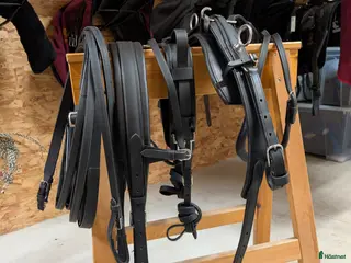 Övrig Hästutrustning hästutrustning Körsele storlek full - Annons 1