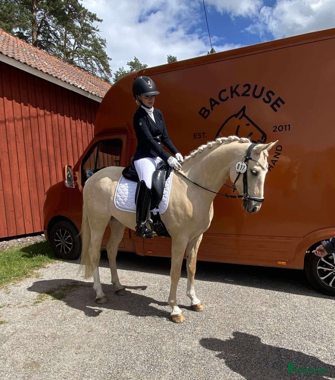  hästservice finnes: Tillridning och inridning av ponny i Stockholm 🌟 i Kista - Annons 4