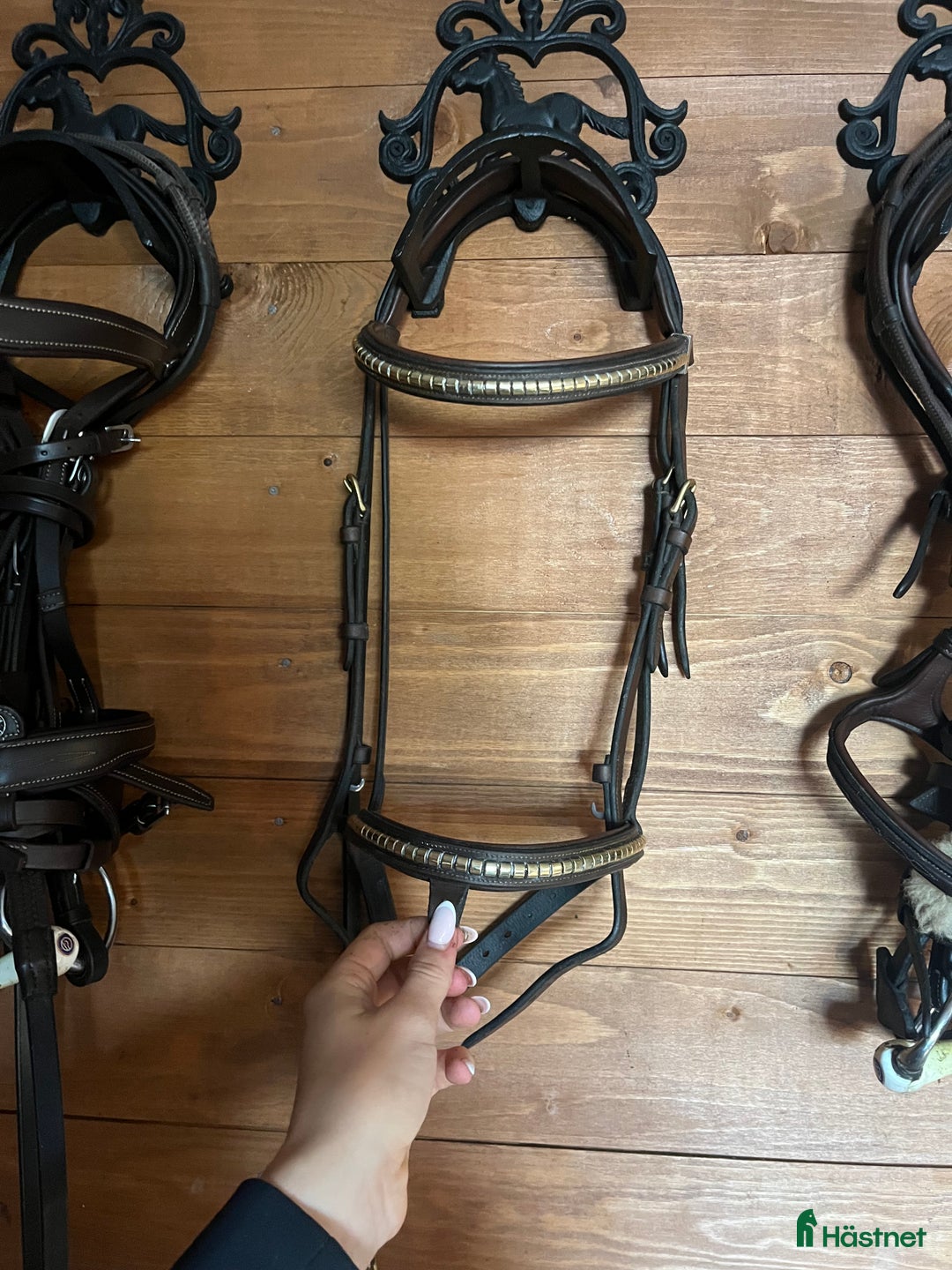 Träns hästutrustning till salu: Equipe träns med klinker i Götene - Annons 1