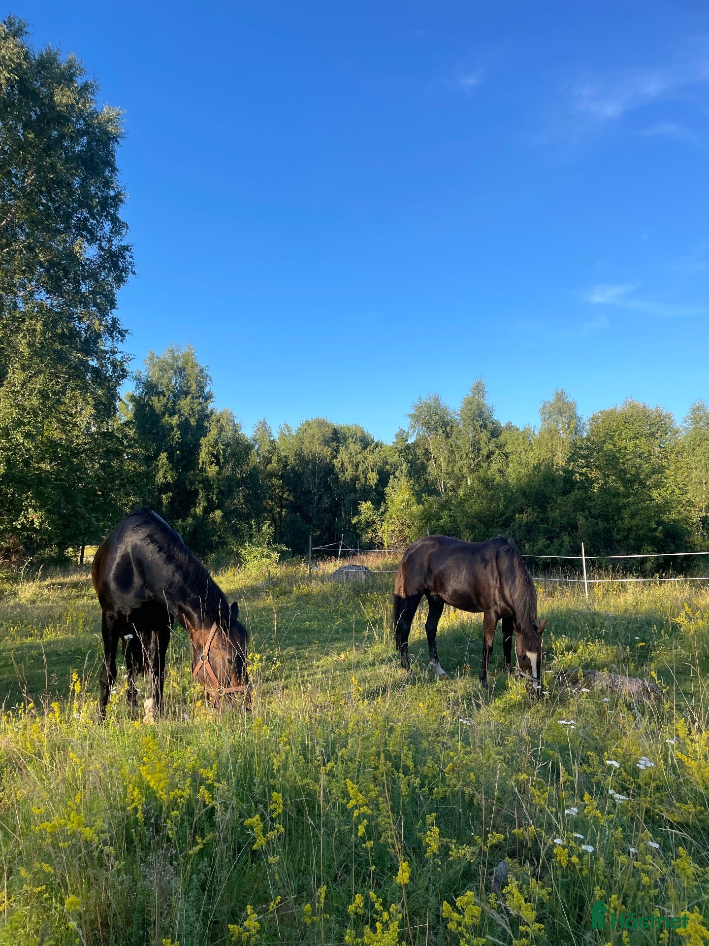  stallplats Stallplats i Täby - Annons 18