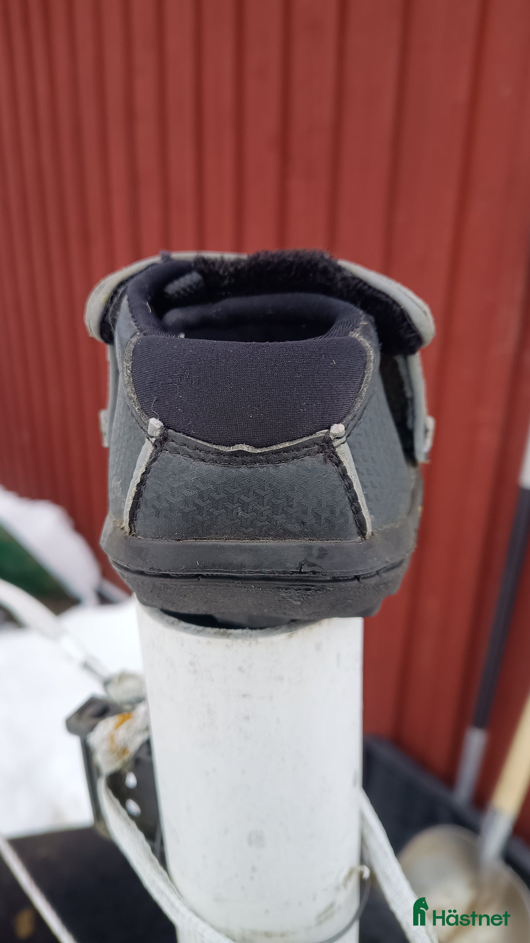 Övrig Hästutrustning hästutrustning till salu: Equine fusion boot single stl 8.slim i Lillpite - Annons 4