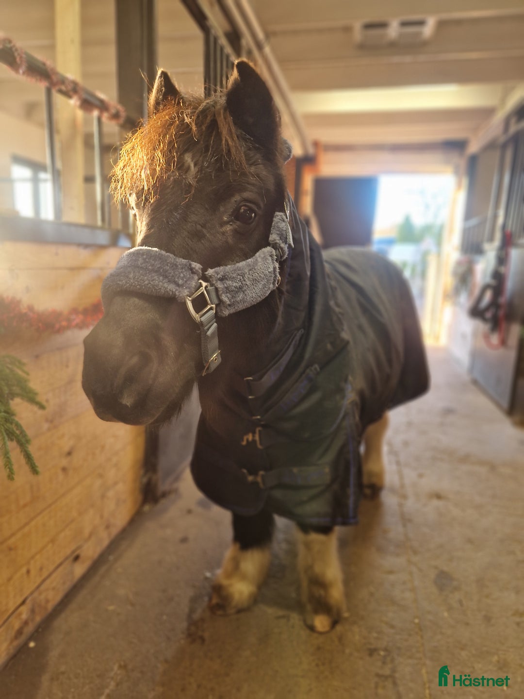 Galleribild {{count}}