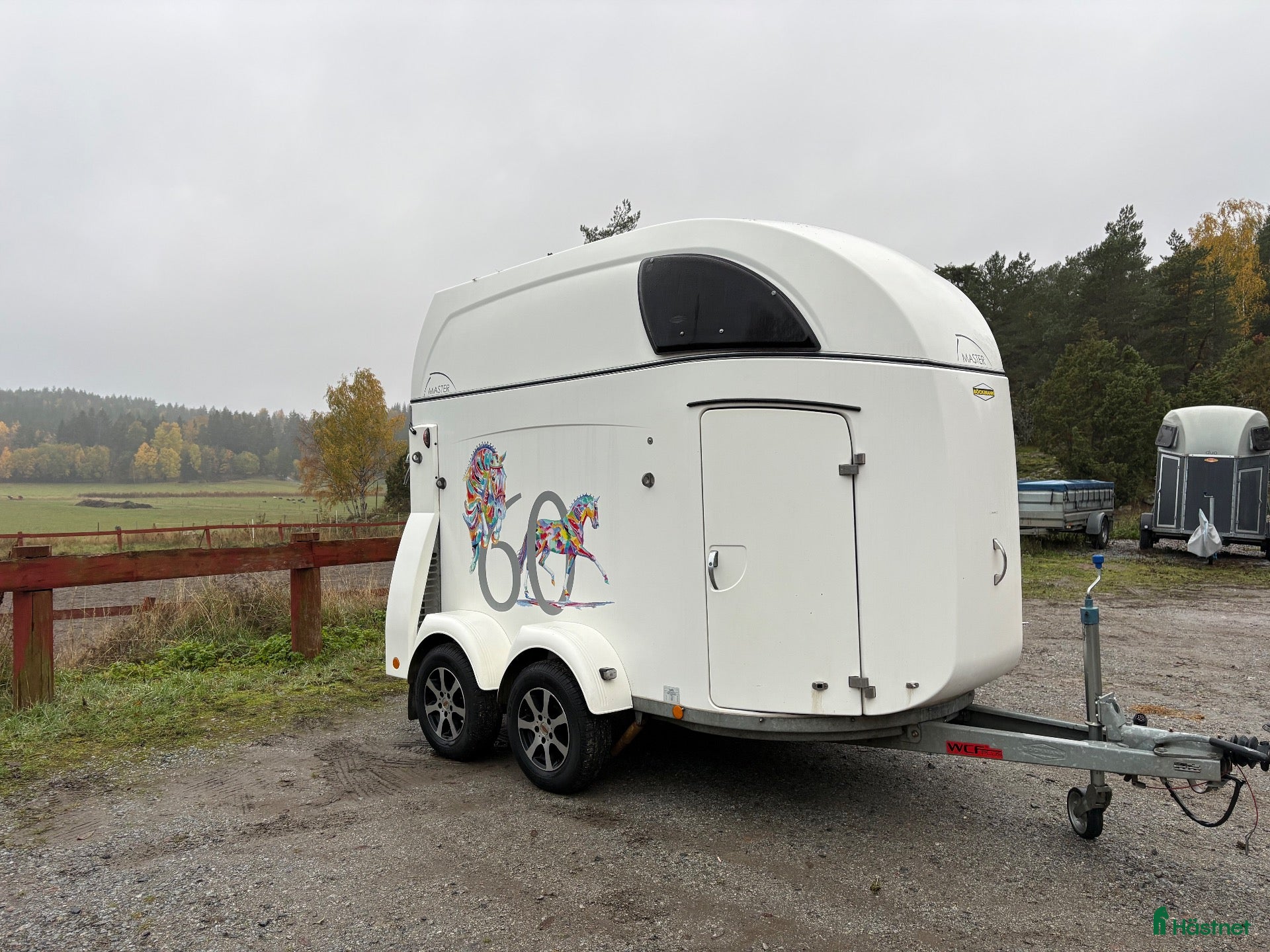 Hästtransporter  fordon & transport till salu: Premium hästtransport Böckmann Master WCF - Annons 1