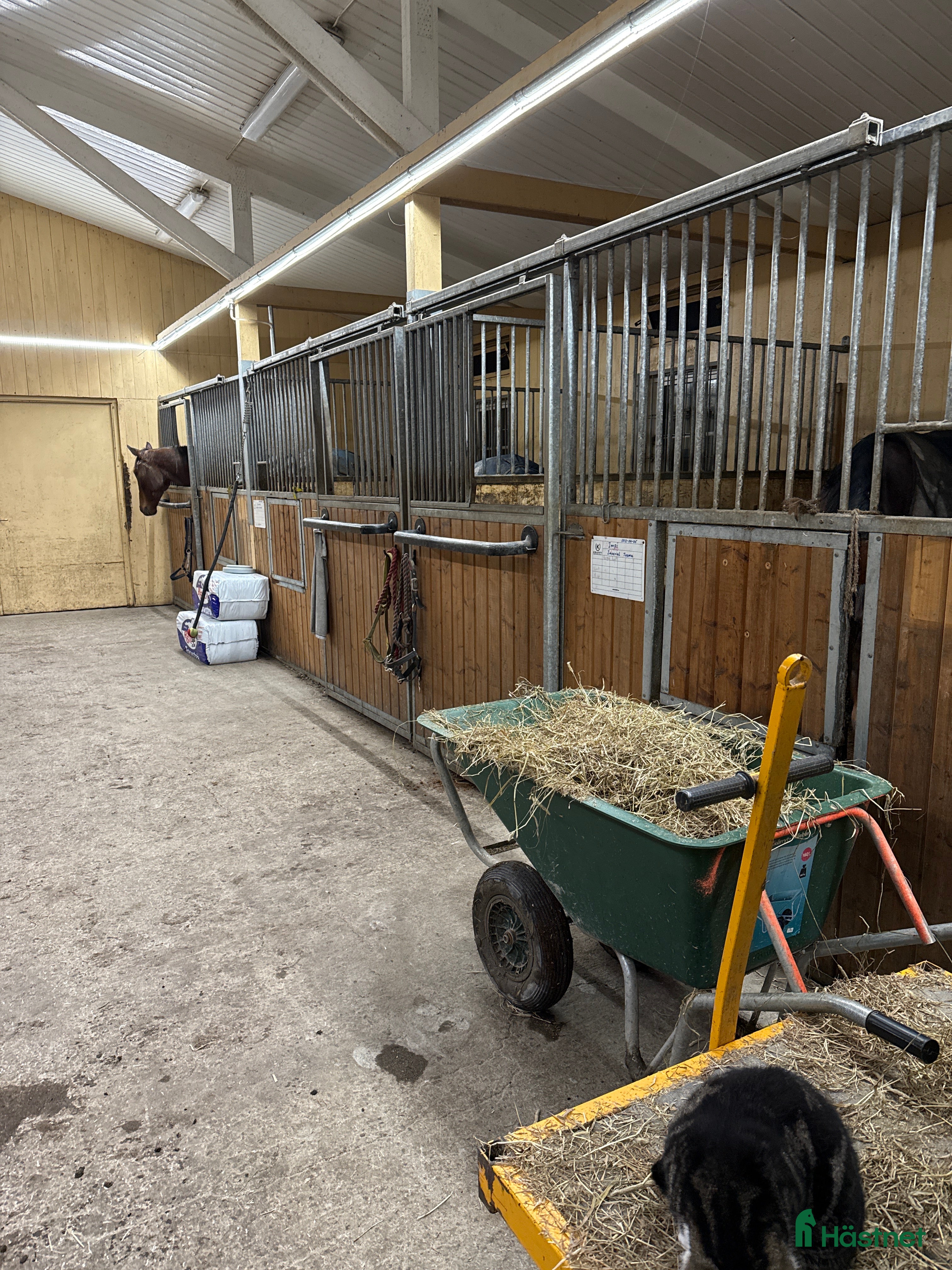  stallplats Stallplatser i Tystberga - Annons 1