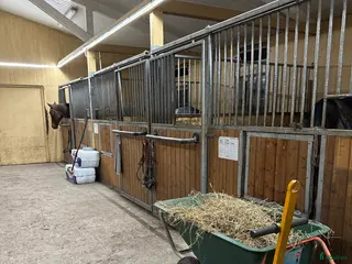 stallplats Stallplatser i Tystberga - Annons 11
