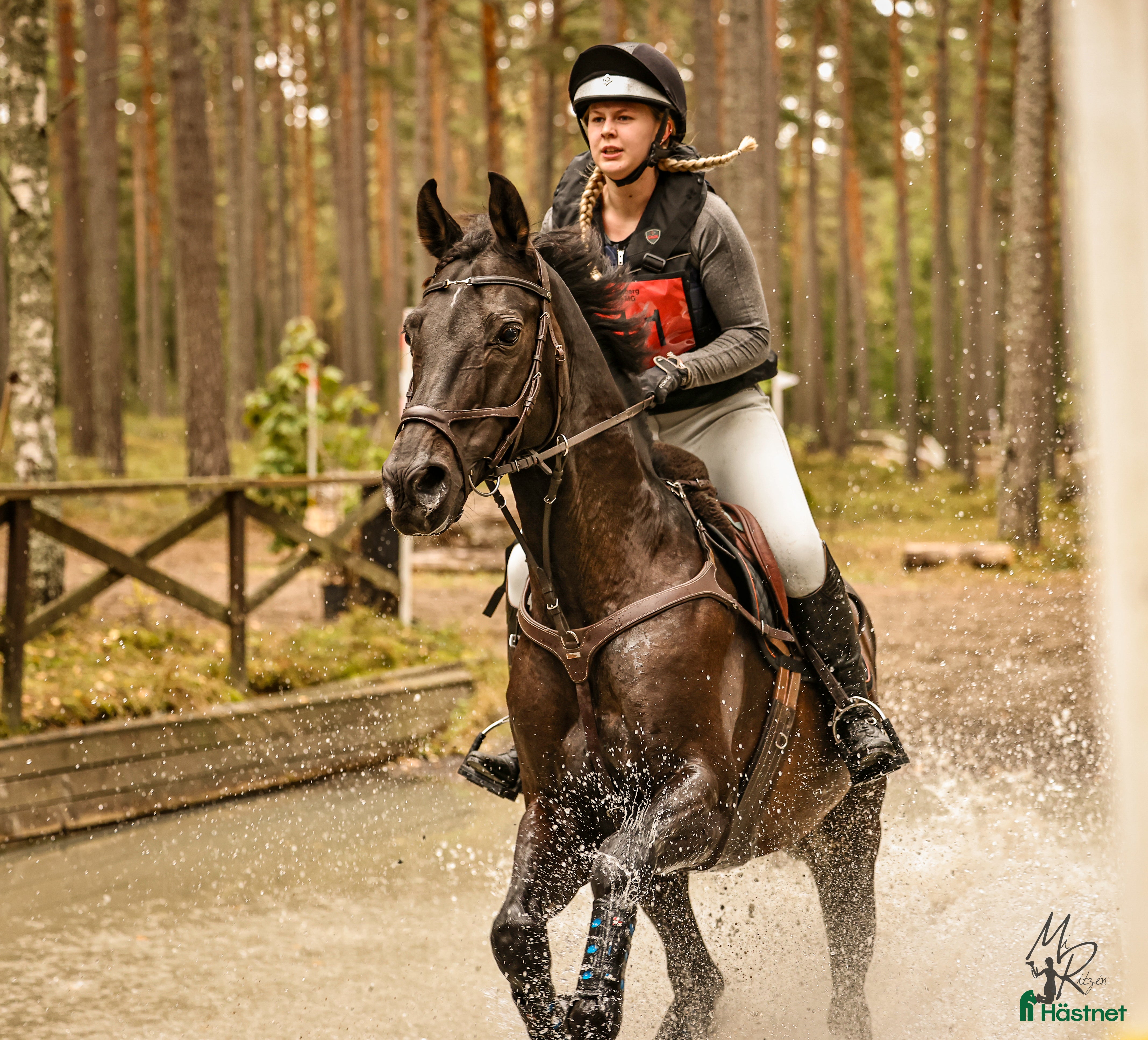  foderhäst Söker en hoppglad kompis!  i Kil - Annons 20