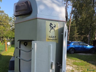 Hästtransporter fordon & transport till salu: Häst transport i Visby - Annons 18