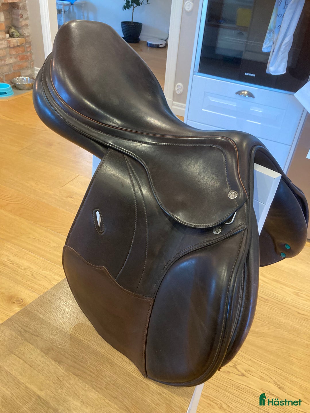 Sadlar hästutrustning till salu: Equipe Linnea  i Alingsås - Annons 1