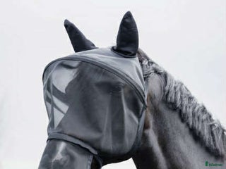 Övrig Hästutrustning hästutrustning till salu: Flugluva med nosskydd i Kristianstad - Annons 1