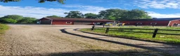  stallplats finnes: Stallplats Grän stallängen  - Annons 7