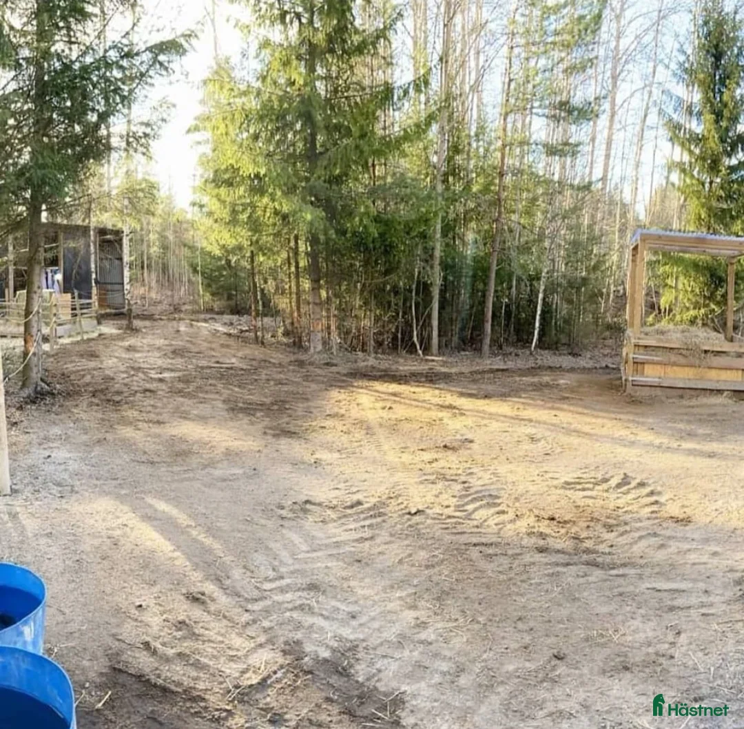  stallplats finnes: Lösdrift med möjlighet till fullservice - Annons 3