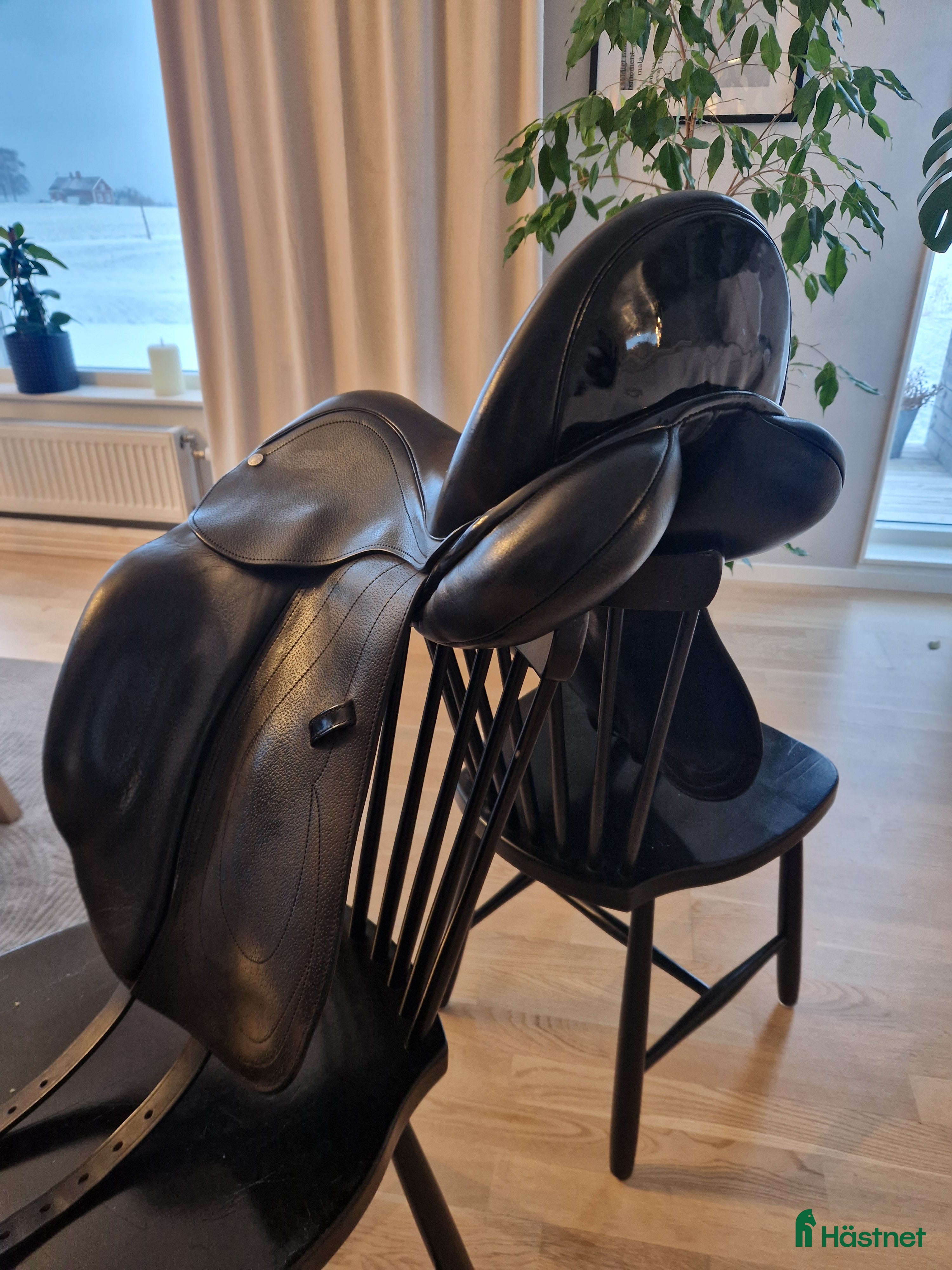 Sadlar hästutrustning Kemnevall dr Isaac - Annons 6