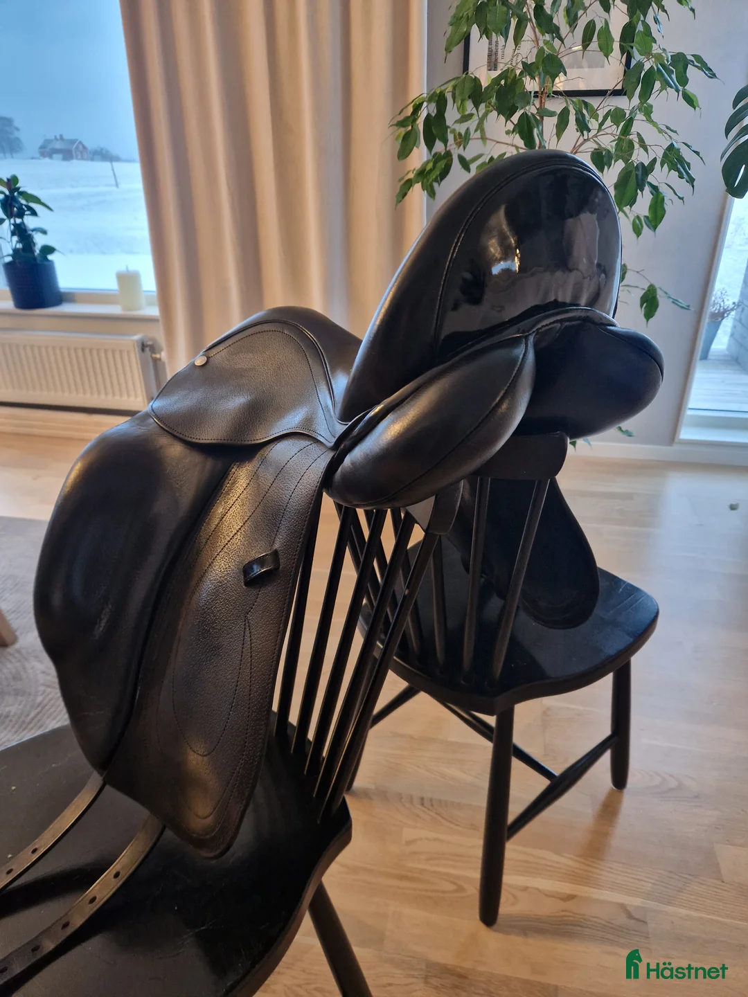 Sadlar hästutrustning till salu: Kemnevall dr Isaac - Annons 1