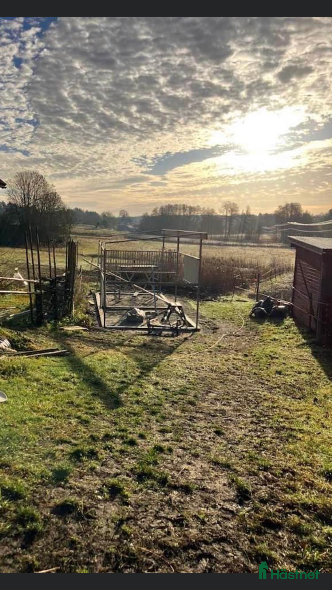  stallplats finnes: Sommarbete/fullservice lösdriftplatser finnes! i Norrtälje - Annons 9