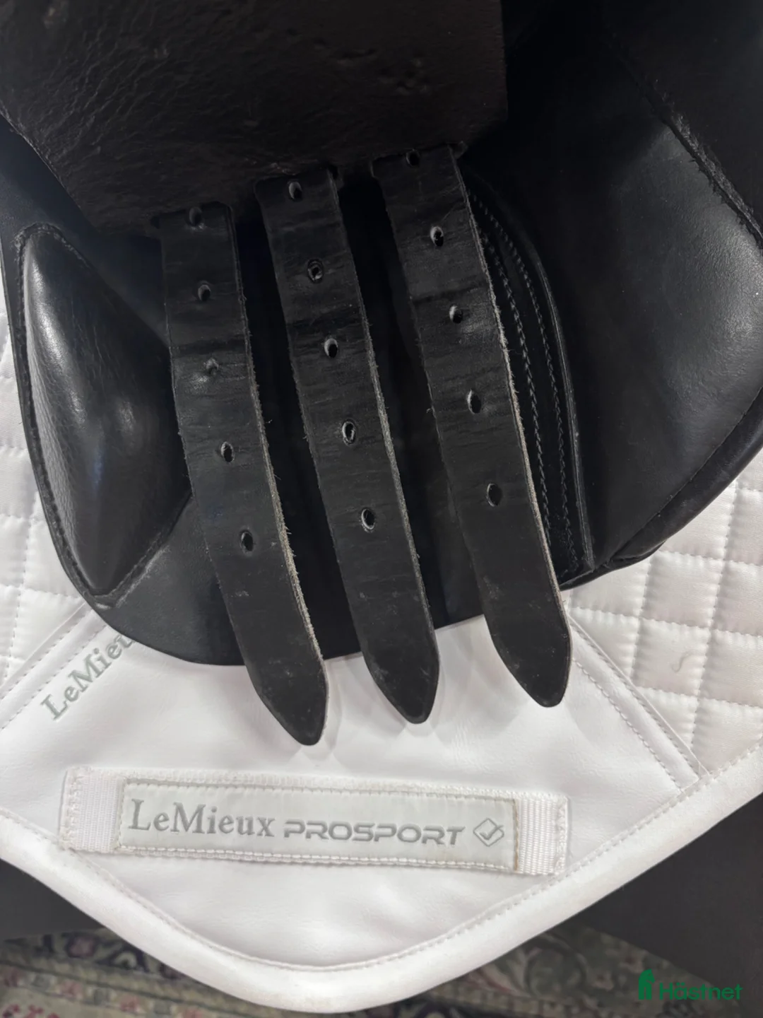 Sadlar hästutrustning till salu: Morris & Nolan 15,5” ✨ - Annons 4