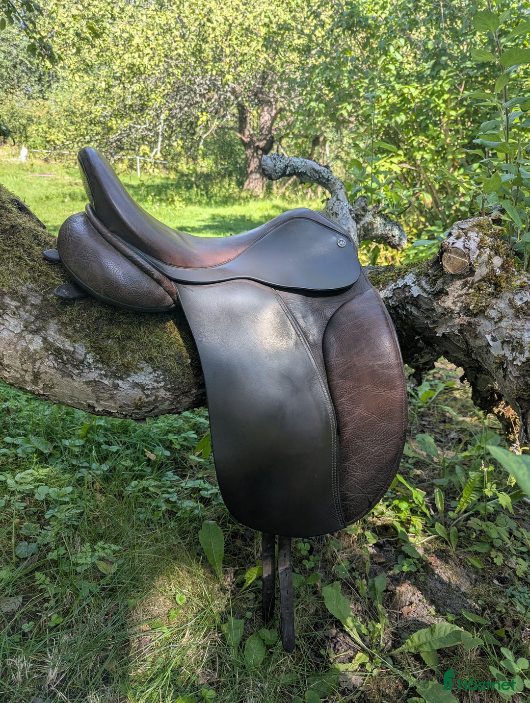 Sadlar hästutrustning till salu: Morris Nolan dressyrsadel  i Harbo - Annons 3