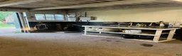  stallplats finnes: Ledig stallplats  - Annons 3