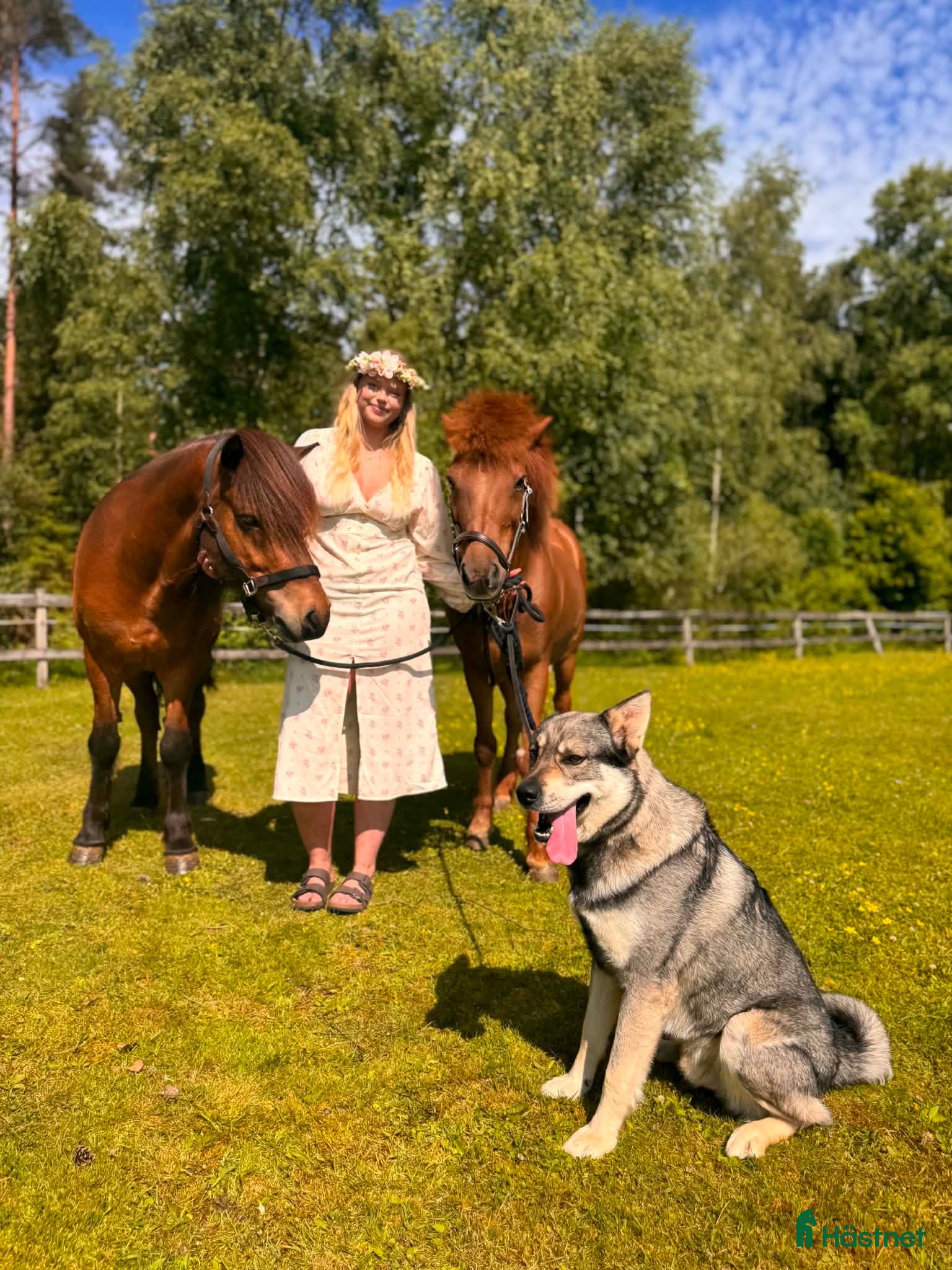  hästservice Inridning av häst - Annons 4