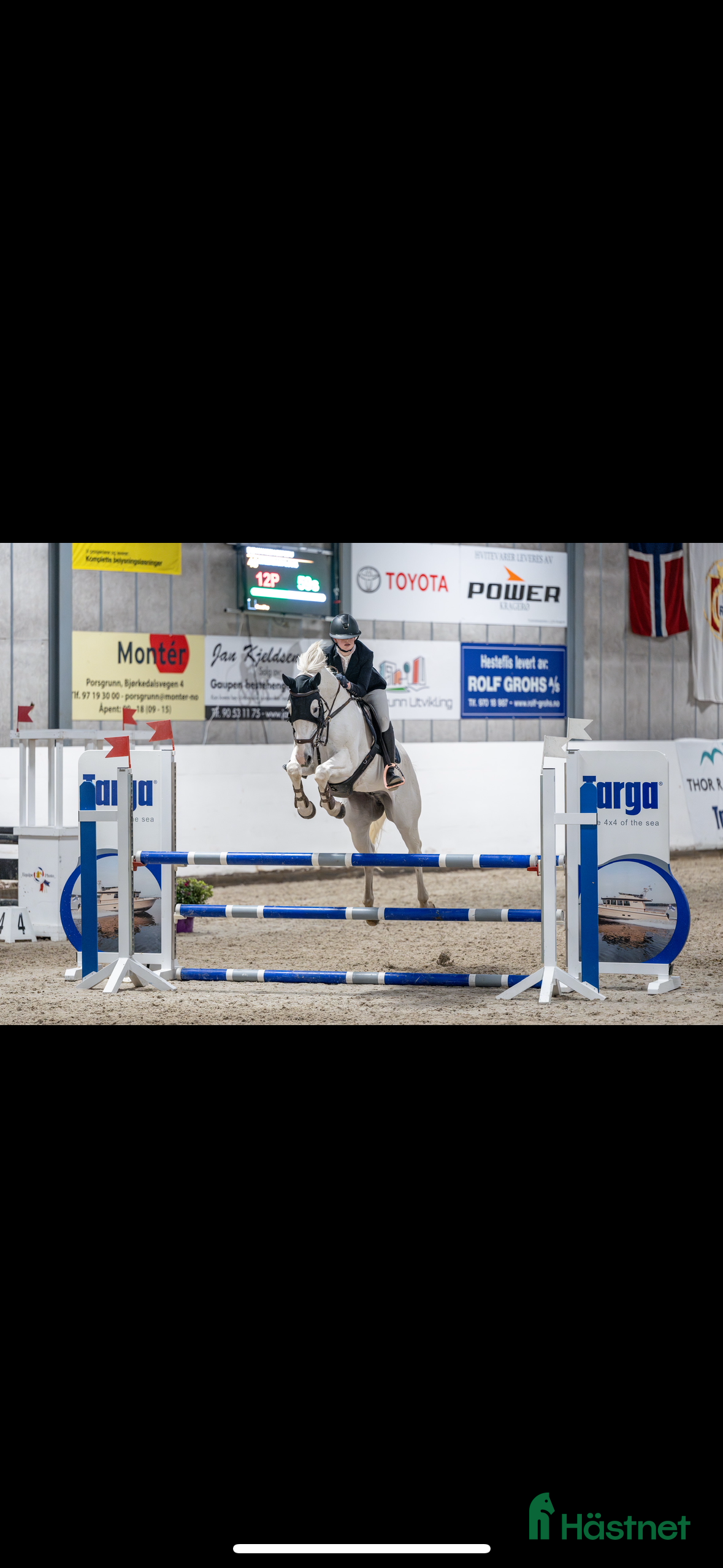  hästar Belgisk varmblod til salgs i Melsomvik - Annons 4