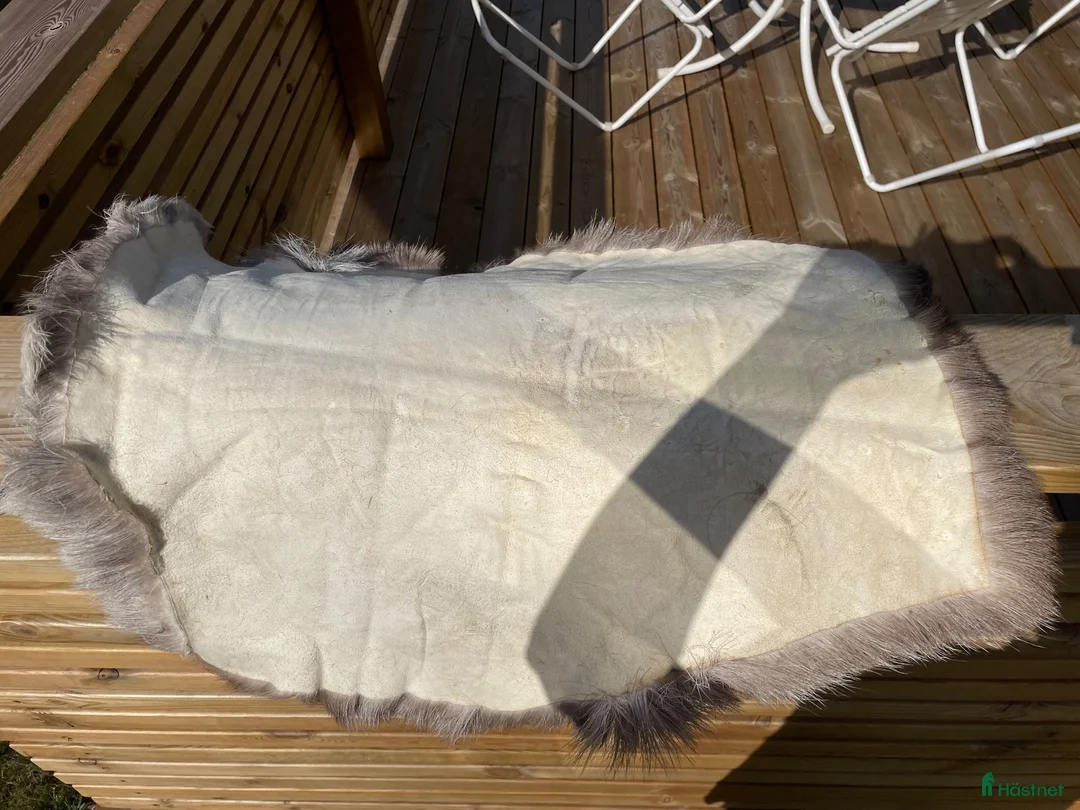 Sadeltillbehör hästutrustning till salu: Renskinn - Annons 3