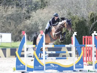 hästar Children eller första storhäst i Västerås - Annons 2