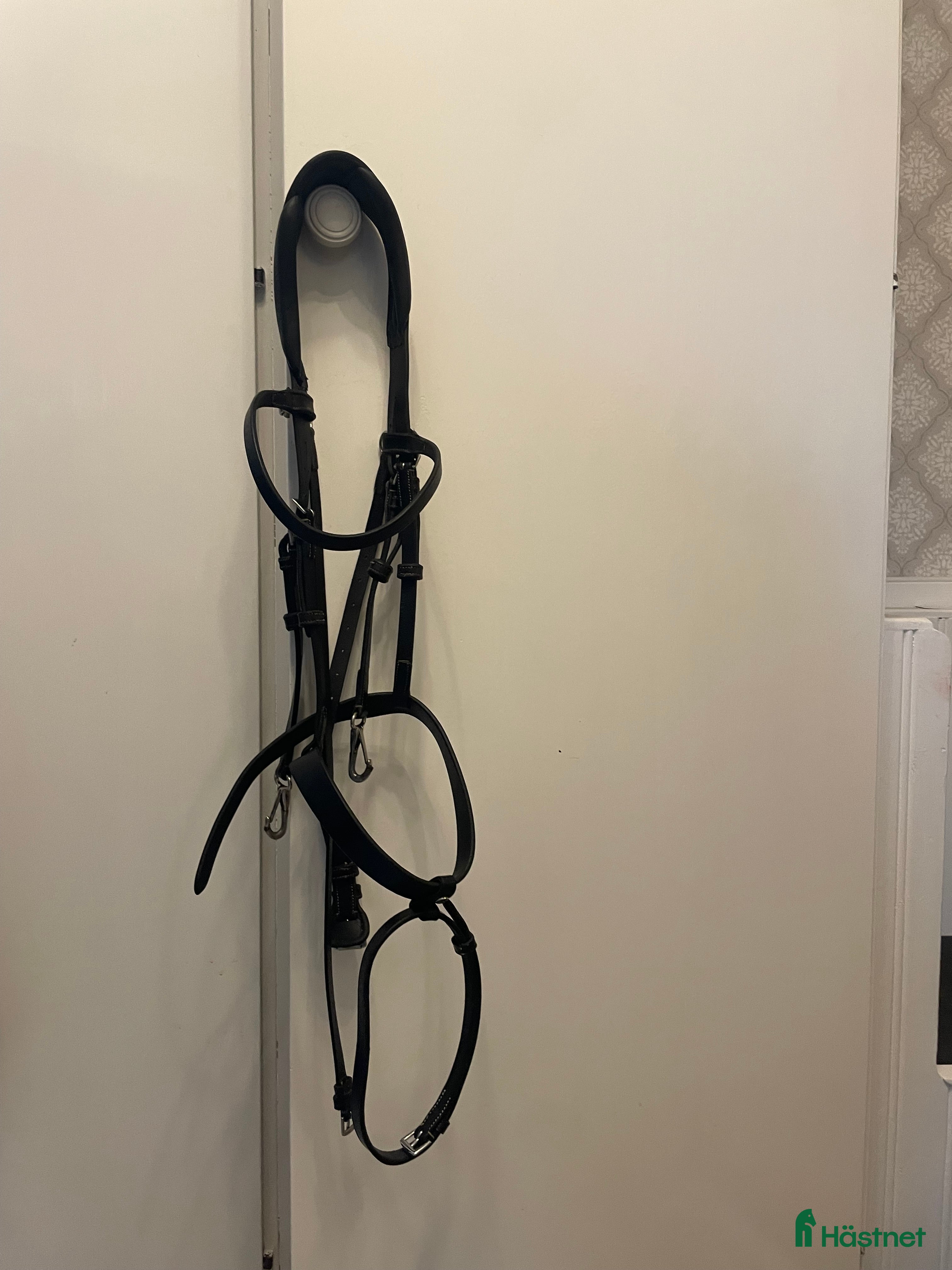 Träns hästutrustning till salu: London Träns säljes! i Åby - Annons 17