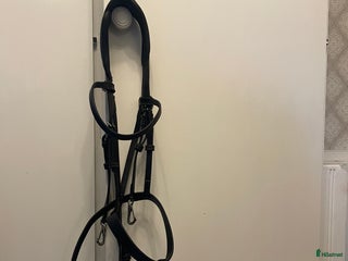 Träns hästutrustning till salu: London Träns säljes! i Åby - Annons 1