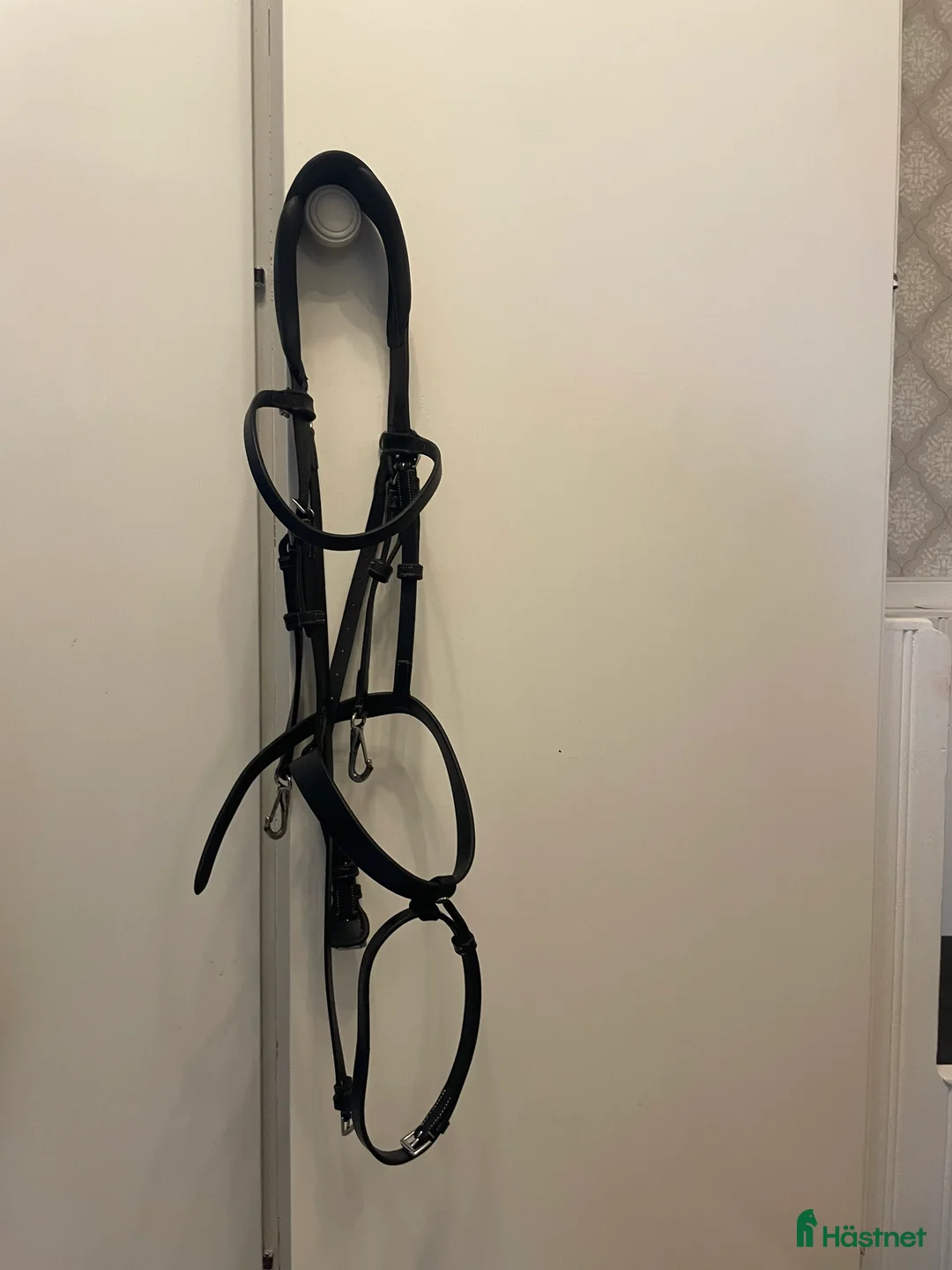 Träns hästutrustning till salu: London Träns säljes! i Åby - Annons 1