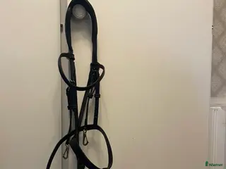 Träns hästutrustning London Träns säljes! i Åby - Annons 4