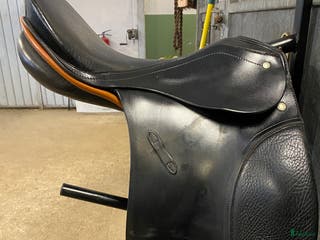 Sadlar hästutrustning till salu: Passier Young Champ i Åhus - Annons 1