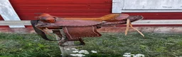 Sadlar hästutrustning till salu: Äldre liten westernsadel - Annons 2