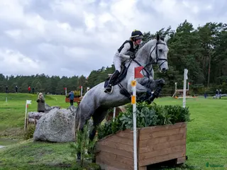 hästar Fantastisk tävlingshäst i Skara - Annons 8