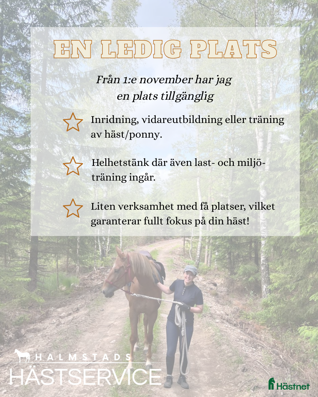  hästservice inridning & utbildning i Simlångsdalen - Annons 12