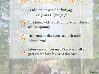 hästservice inridning & utbildning i Simlångsdalen - Annons 11