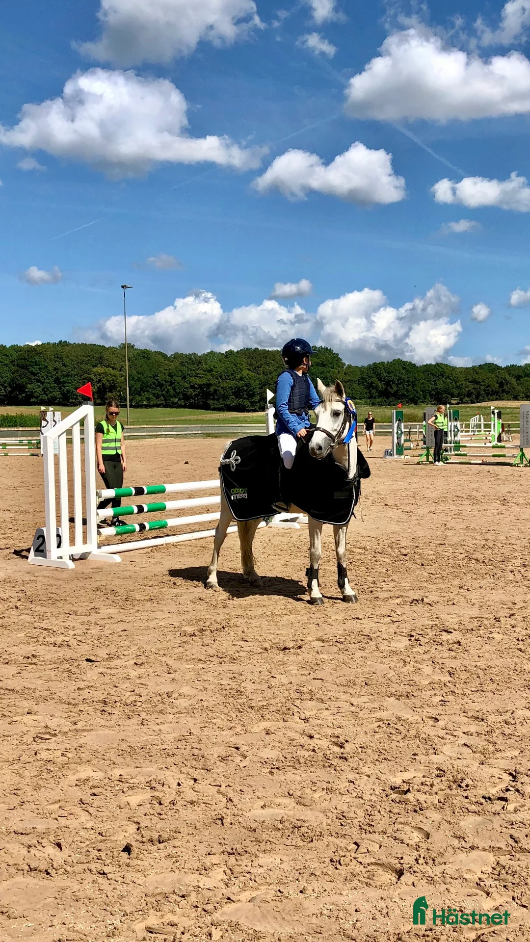 Hoppning hästar till salu: Kvalitetsponny  i Vellinge - Annons 2