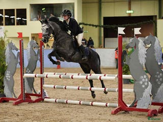 hästar C-ponny med stort hopp och hög ridbarhet i Kungsbacka - Annons 2