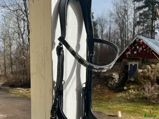 Träns hästutrustning Lingus-träns strl full - Annons 2