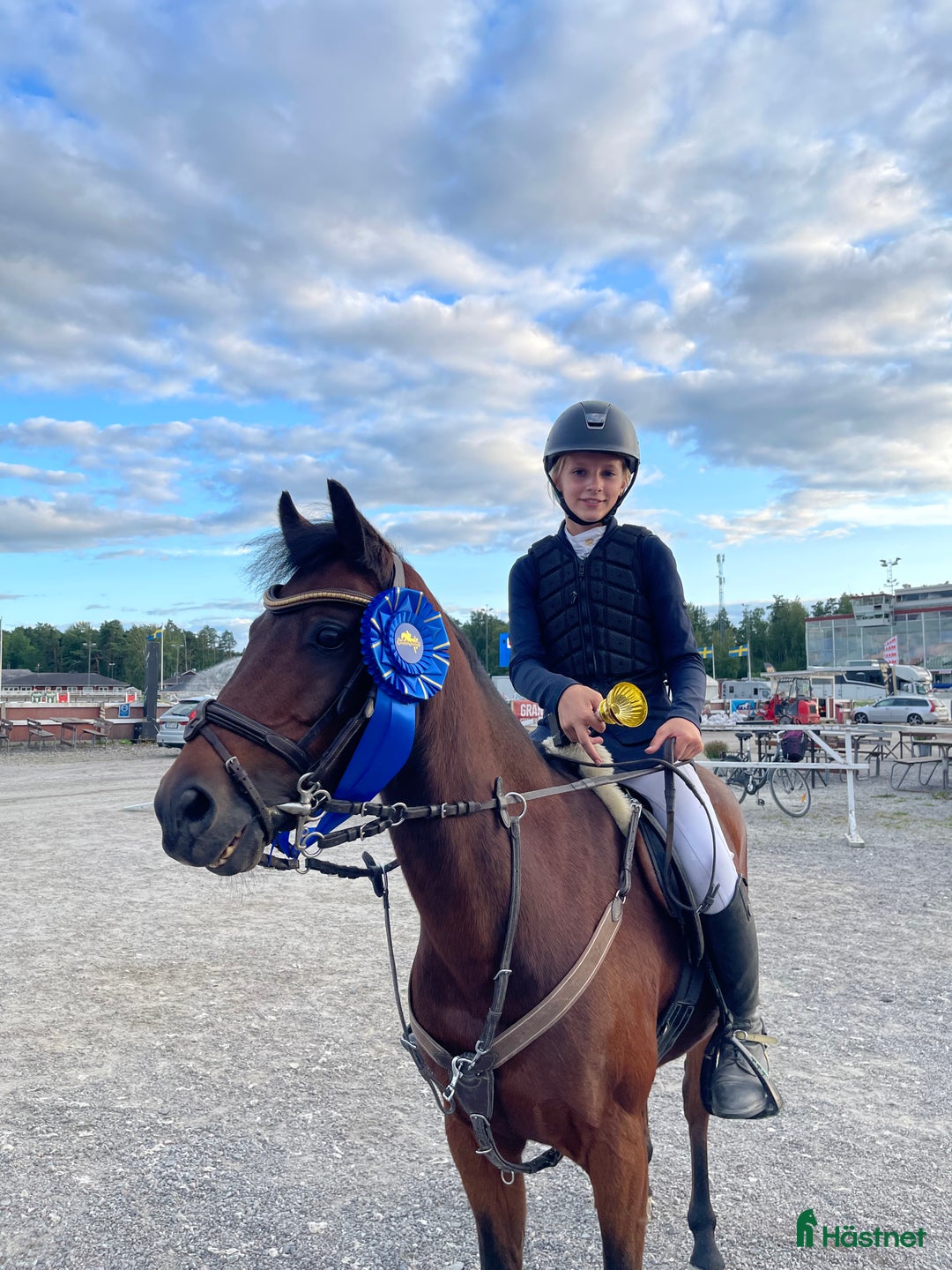 Hoppning hästar till salu: Rosett plockare i Sala - Annons 11