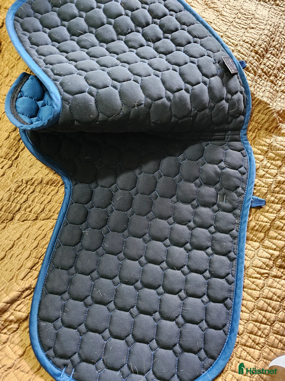 Schabrak & Vojlockar hästutrustning till salu: Catago vojlock i Söråker - Annons 4