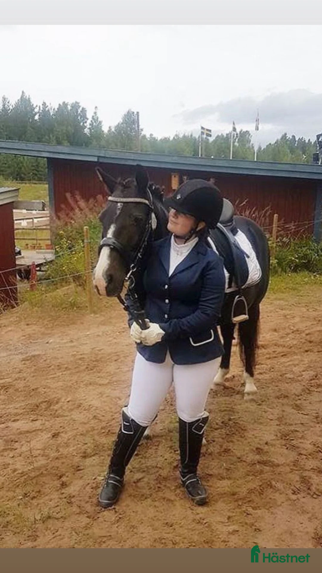 Sällskap hästar till salu: Sista hem sökes till otrolig ponny  - Annons 7