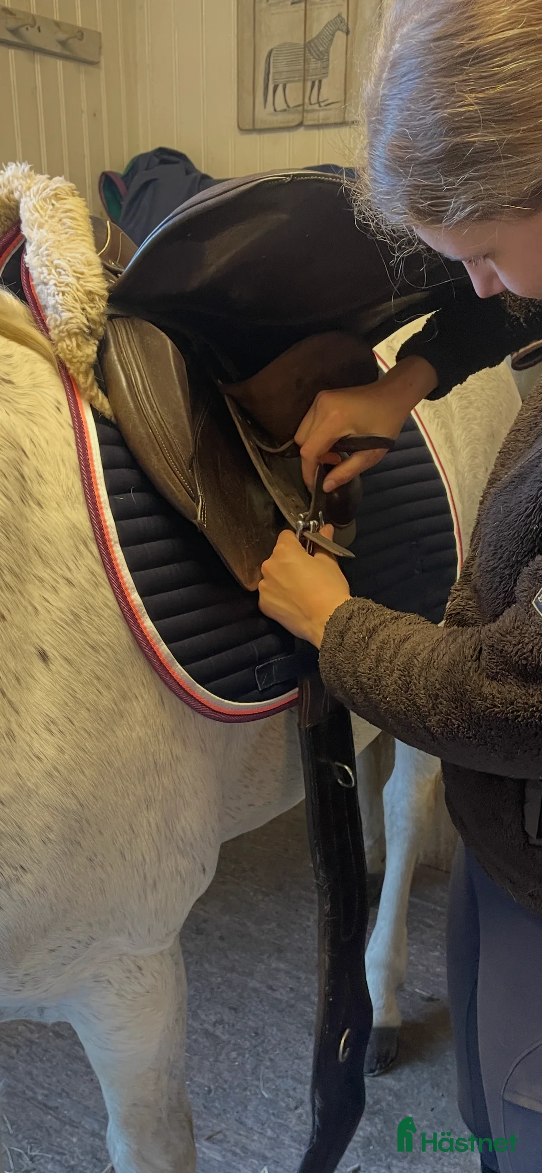 Sadlar hästutrustning till salu: John Whitaker hoppsadel brun medelvid i Sollentuna - Annons 3
