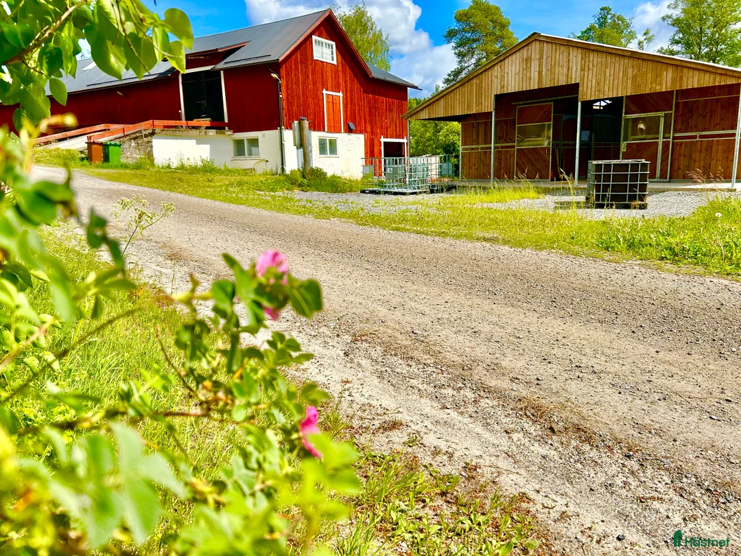  hästgårdar till salu: Perfekt för verksamhet / inackordering - Annons 7
