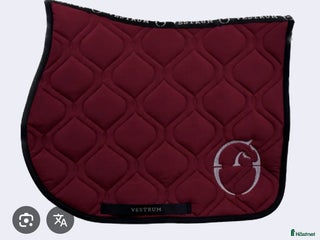 Schabrak & Vojlockar hästutrustning till salu: S*öker!! 🩷🩷 i Blomstermåla - Annons 1